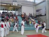 NaytosSipoo_2010_01.JPG