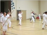 SuuriKesaleiri_Jarvenpaa_201406_01.jpg