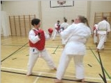 SuuriKesaleiri_Jarvenpaa_201406_05.jpg