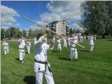 SuuriKesaleiri_Jarvenpaa_201406_07.jpg